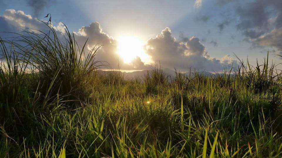 Falcon Crest Vagamon Kültér fotó